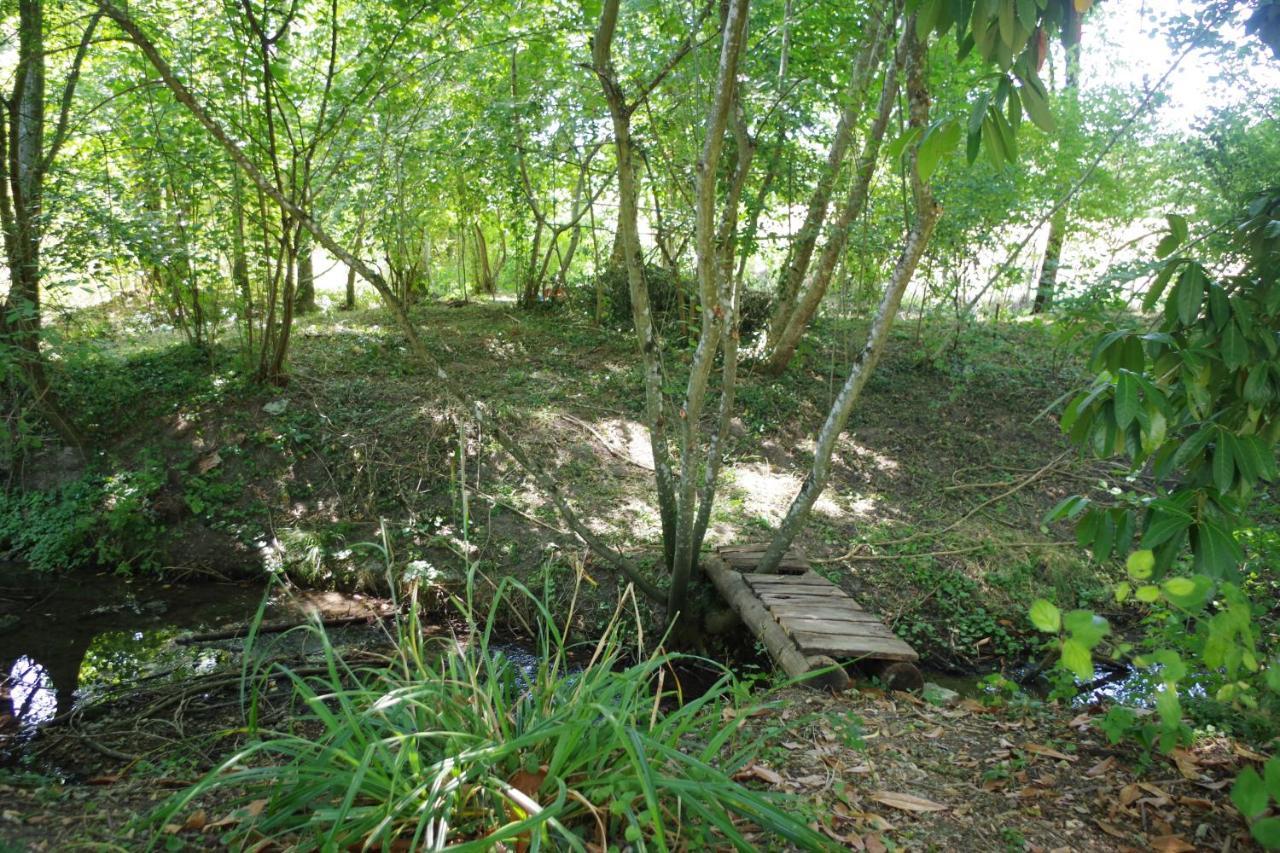 Gite Du Moulin De Vandon Souvigny-de-Touraine Esterno foto